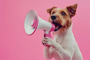 brown and white terrier dog barking into a megaphone