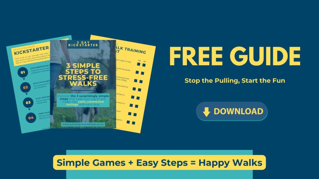 free guide download 3 simple steps to stress free walks