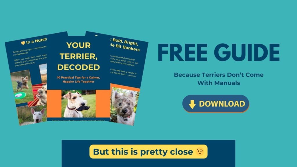 free guide download because terriers don't come with manuals