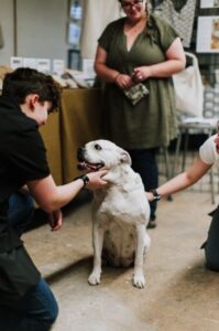 white dog sits calmly while three people greet and pet him