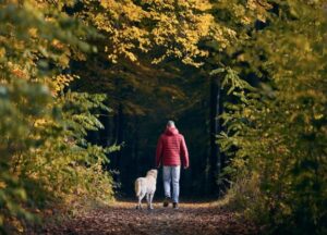 dog and ower walking together in woodland
